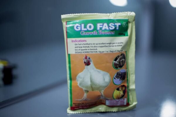 GLOFAST - Image 4
