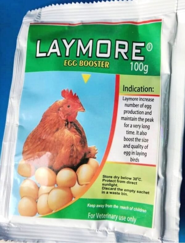 Laymore - Image 3
